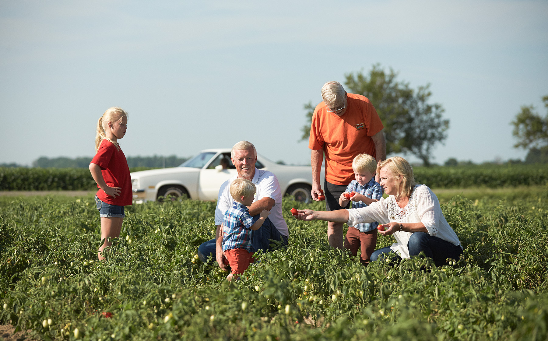 Image of Keesling Farms Growers for Red Gold Tomatoes Kim Keesling handing tomato from tomato field to small child with other grandchildren