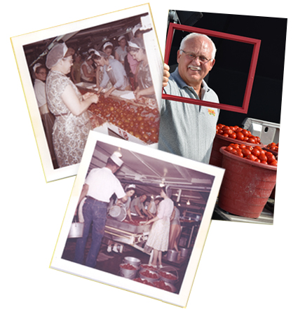 Red Gold tomatoes history images