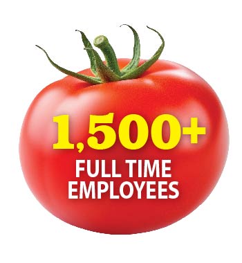 2024_RGMB_Tomato_Employees_350x380-01